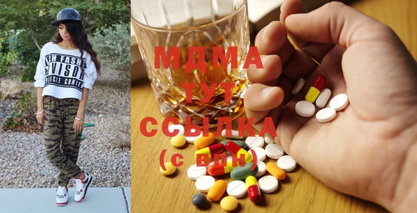 гидра Туринск