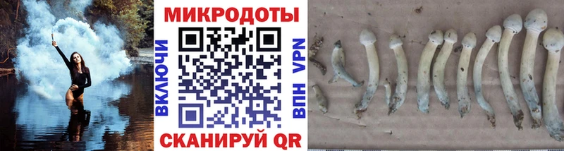 Псилоцибиновые грибы GOLDEN TEACHER  купить   Славгород 